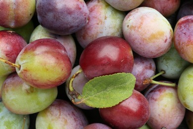 Photo of Many fresh plums and leaf as background, top view