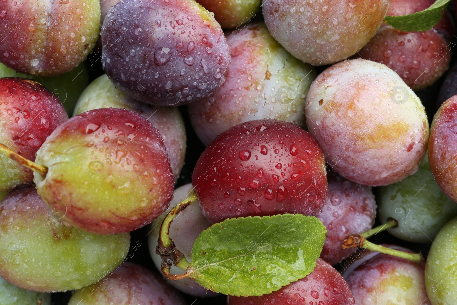 Photo of Many fresh plums and leaves with water drops as background, top view