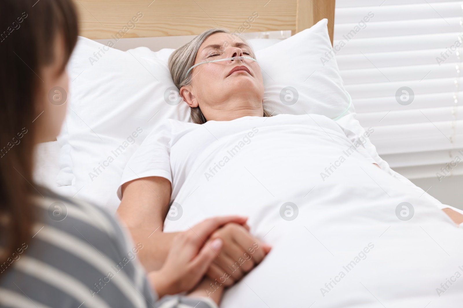 Photo of Coma patient. Woman near her unconscious mother in hospital