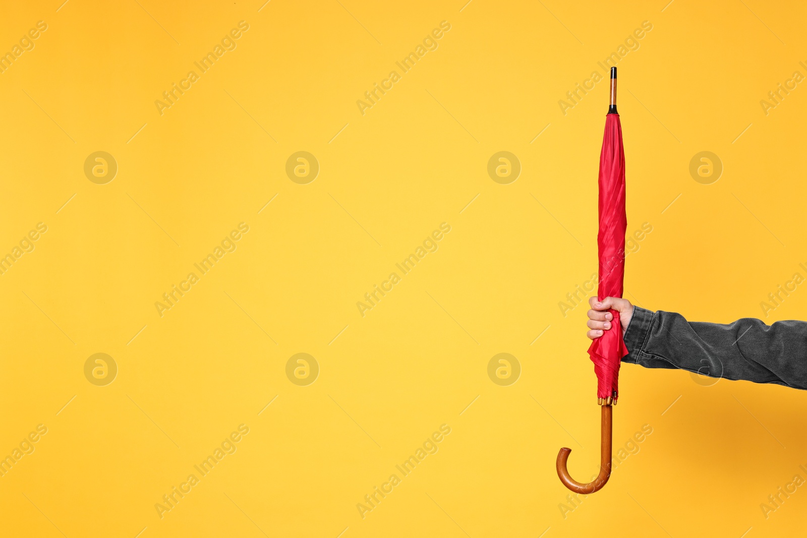 Photo of Man holding red umbrella on yellow background, closeup. Space for text