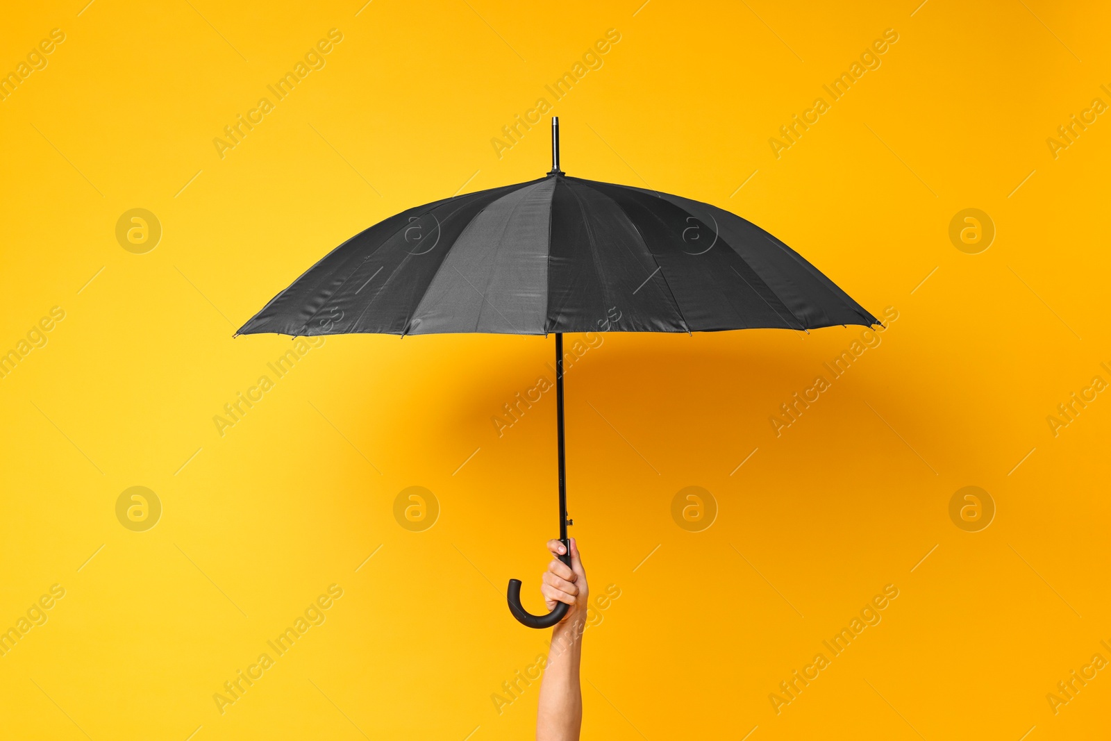 Photo of Man holding black umbrella on yellow background, closeup