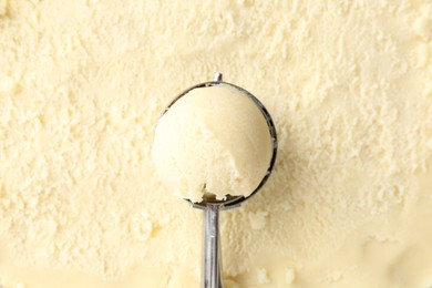 Scoop with tasty melon sorbet, top view