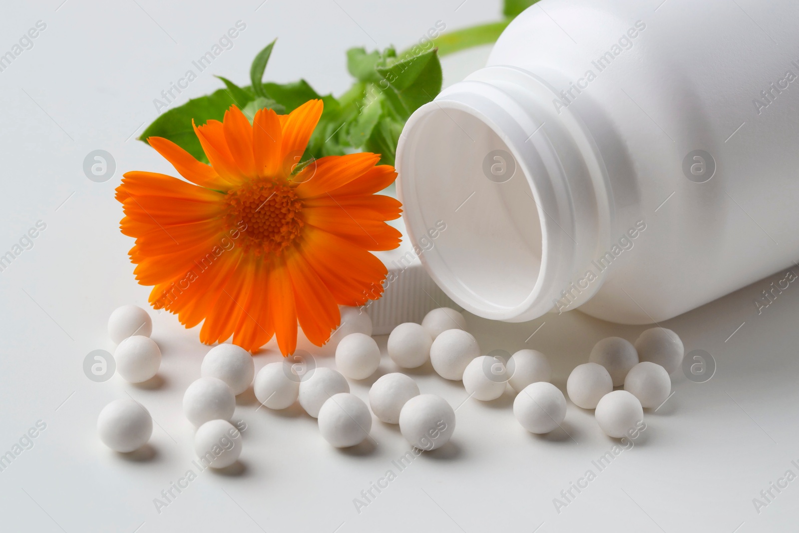 Photo of Homeopathic remedy. Bottle with many pills and calendula flower on white background, closeup