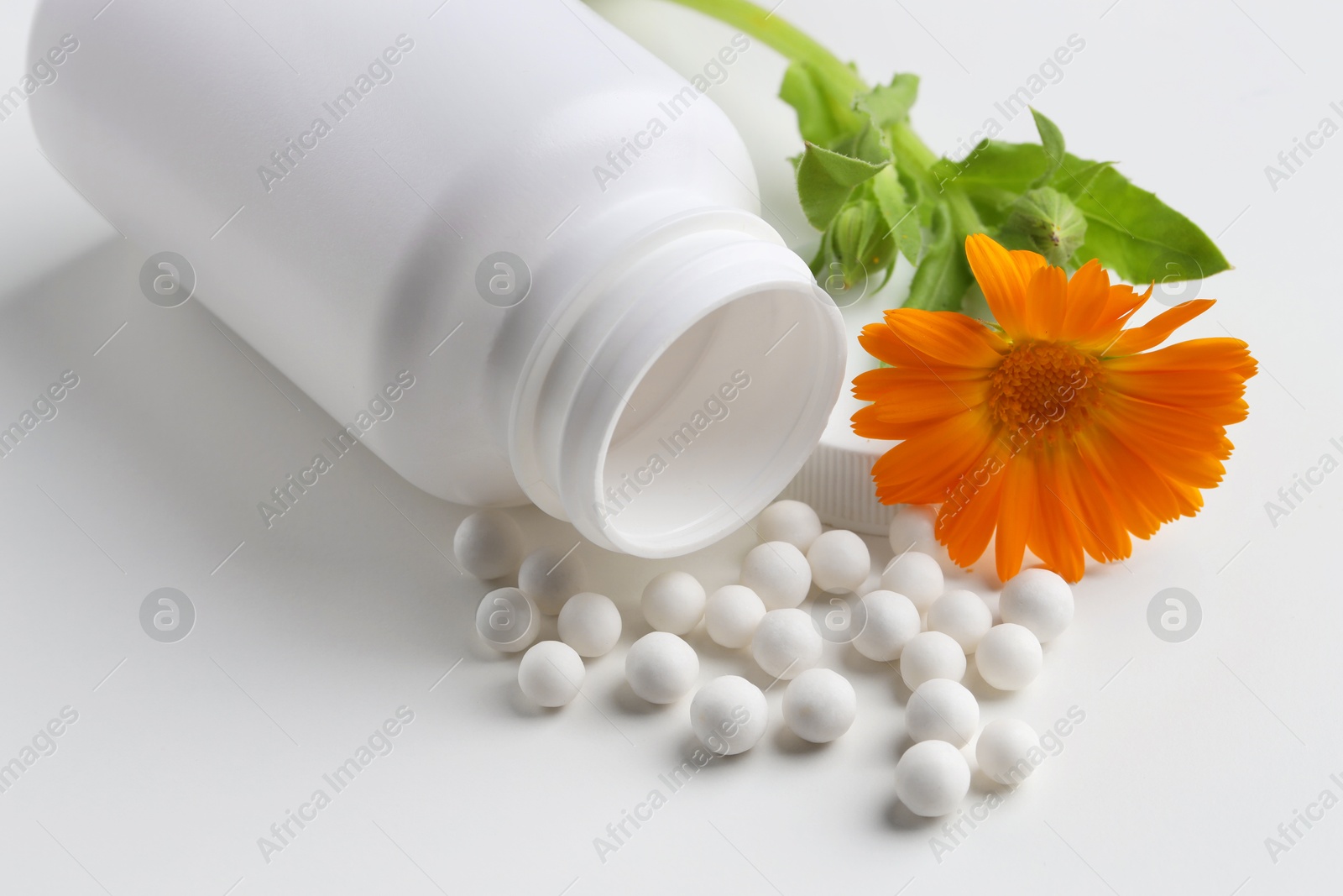 Photo of Homeopathic remedy. Bottle with many pills and calendula flower on white background, closeup