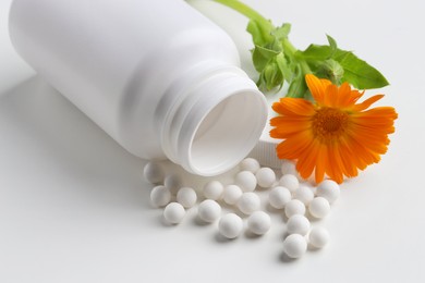 Homeopathic remedy. Bottle with many pills and calendula flower on white background, closeup