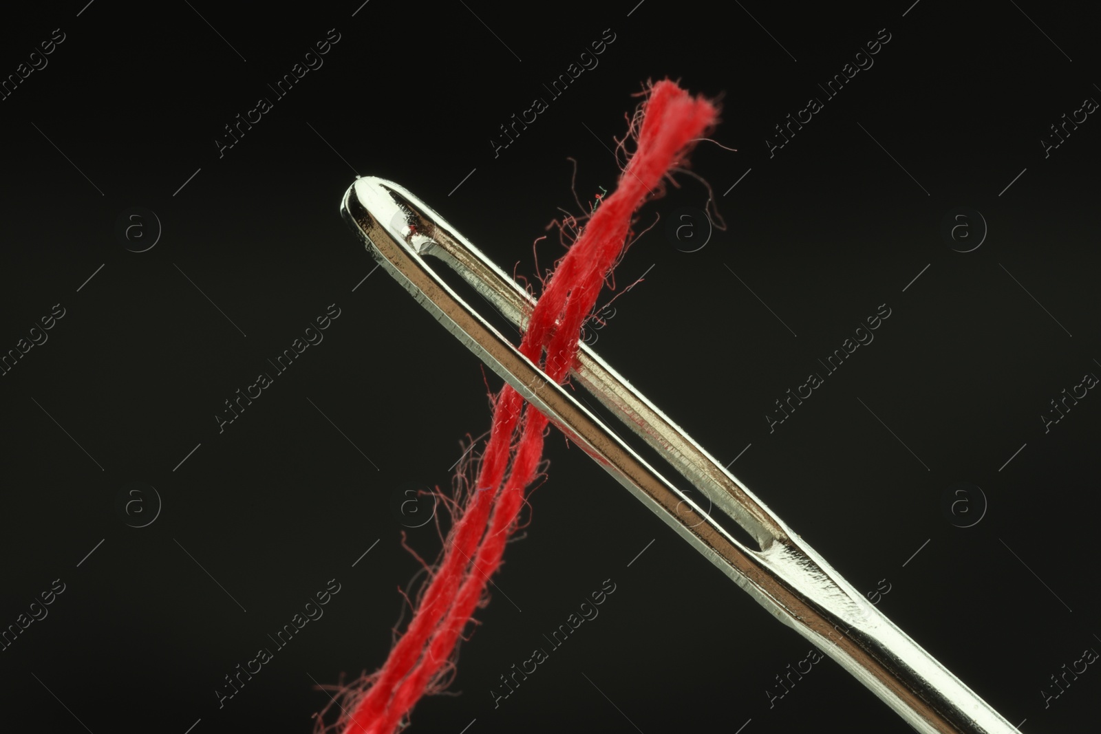 Photo of Sewing needle with red thread on black background, closeup