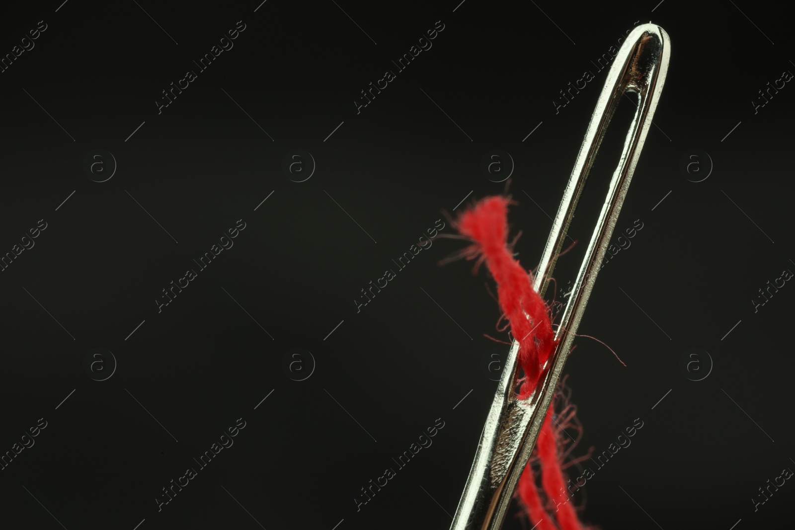 Photo of Sewing needle with red thread on black background, closeup. Space for text