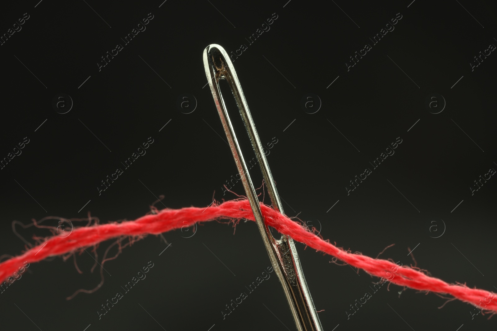 Photo of Sewing needle with red thread on black background, closeup