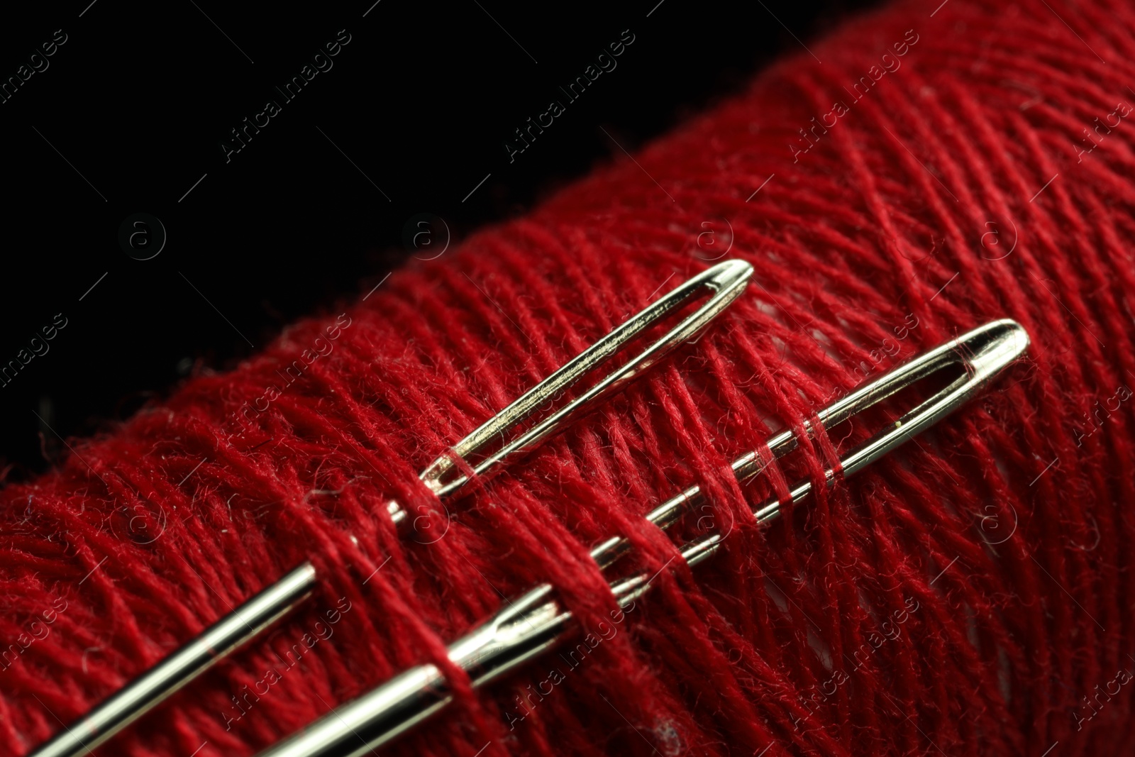 Photo of Spool of red sewing thread with needles on black background, closeup