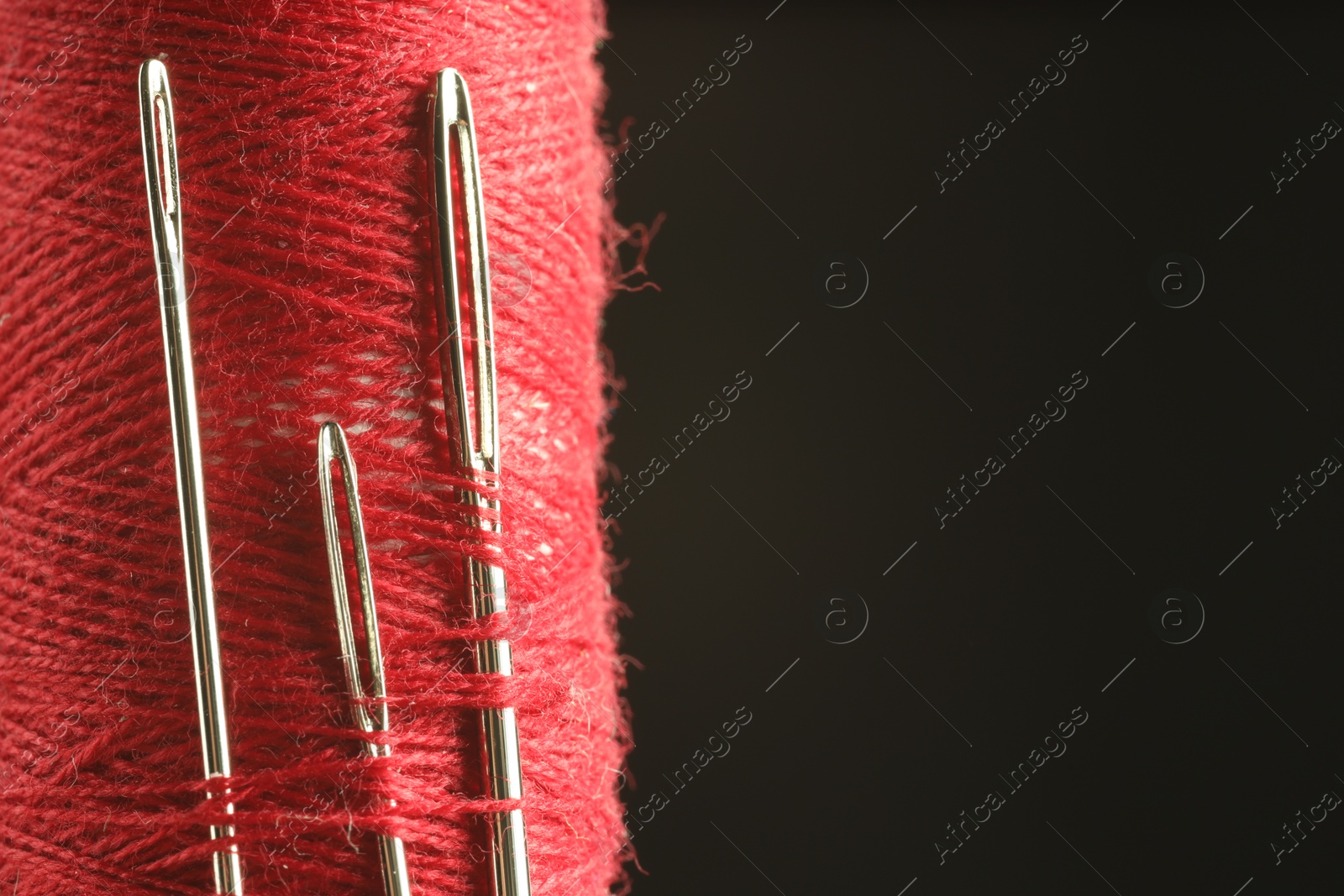 Photo of Spool of red sewing thread with needles on black background, closeup. Space for text