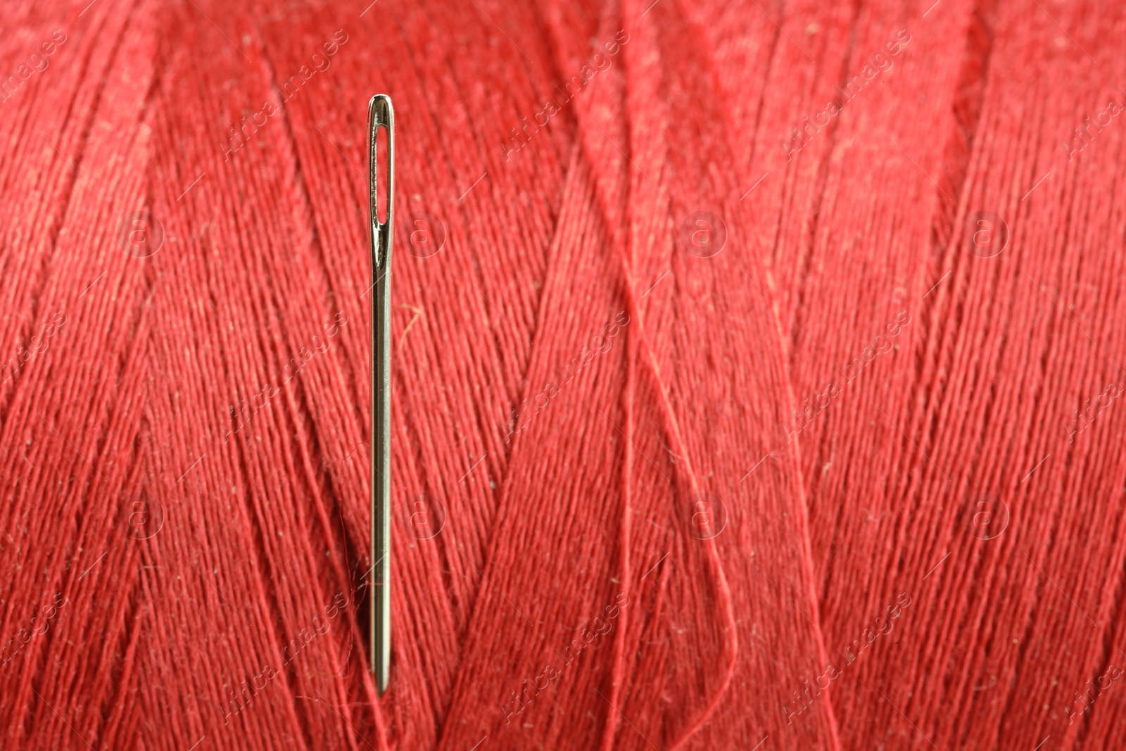 Photo of Spool of red sewing thread with needle, macro view