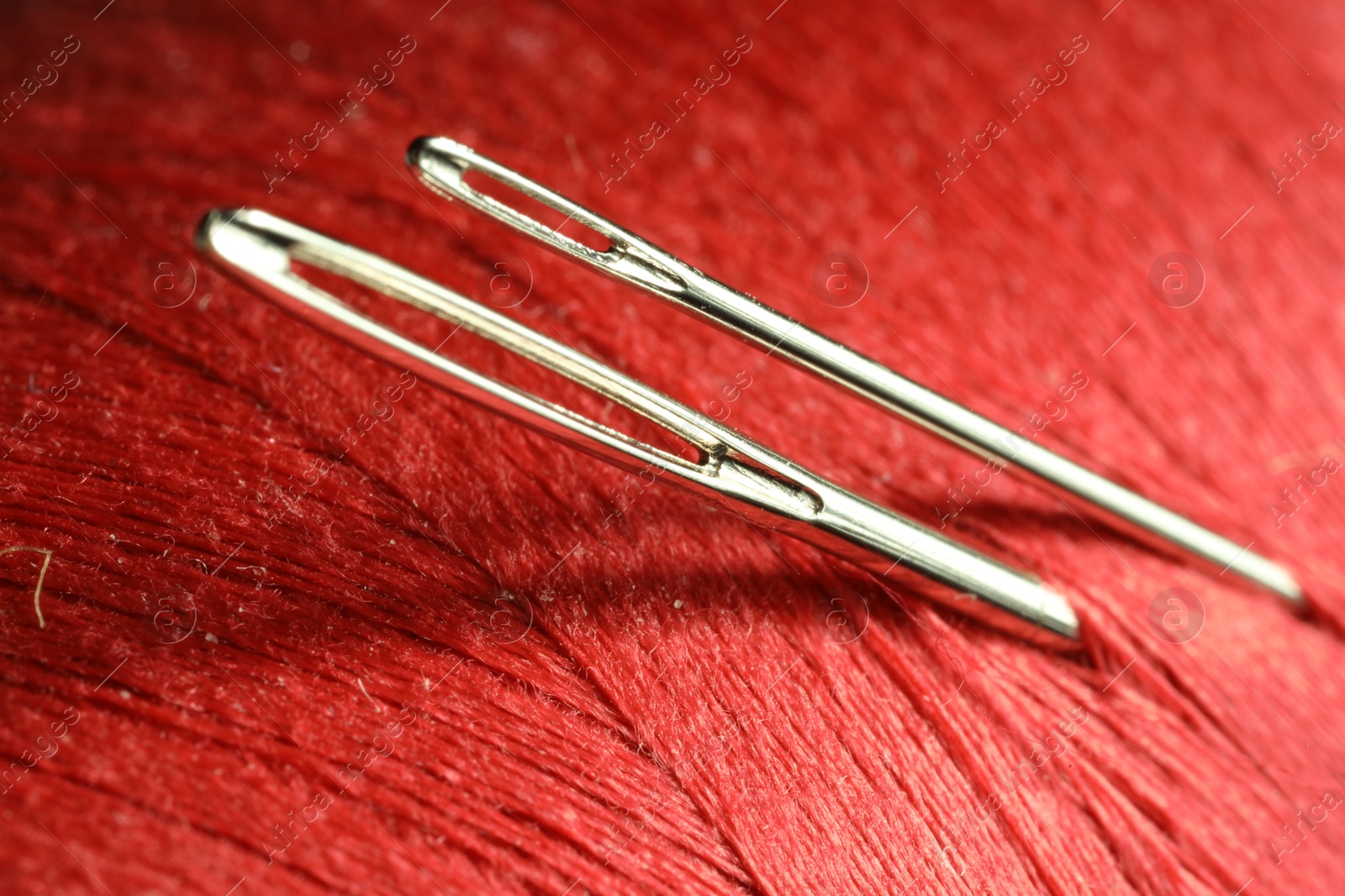 Photo of Spool of red sewing thread with needles, macro view