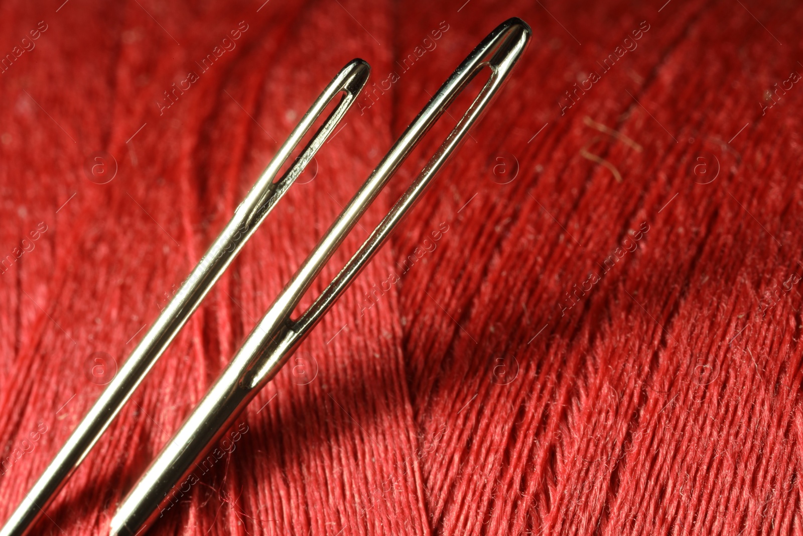 Photo of Spool of red sewing thread with needles, macro view