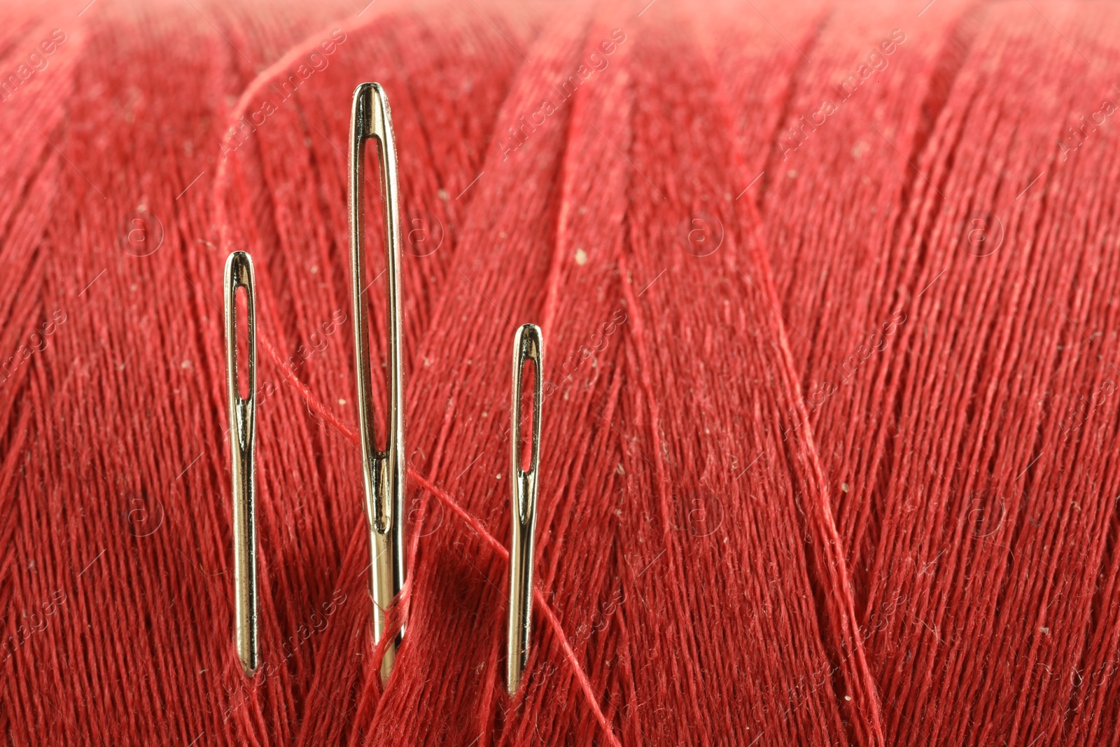 Photo of Spool of red sewing thread with needles, macro view