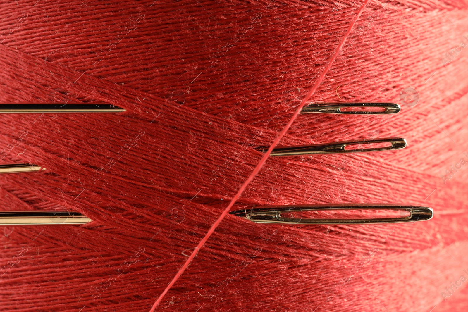 Photo of Spool of red sewing thread with needles, macro view