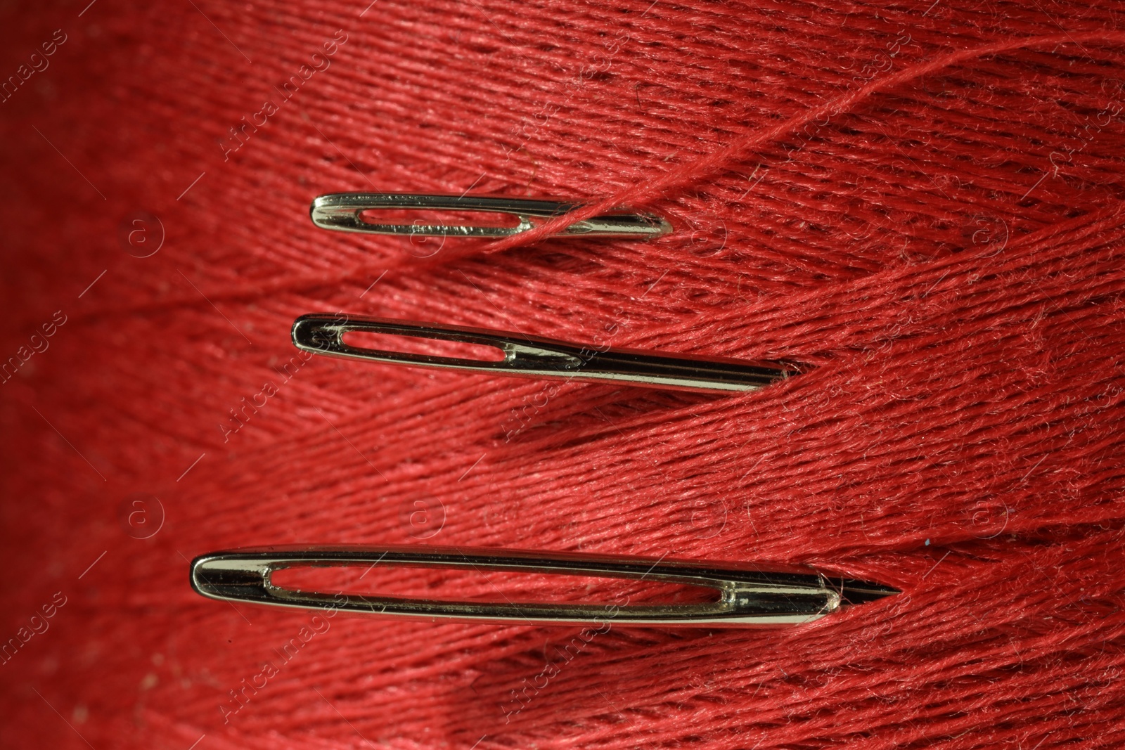 Photo of Spool of red sewing thread with needles, macro view