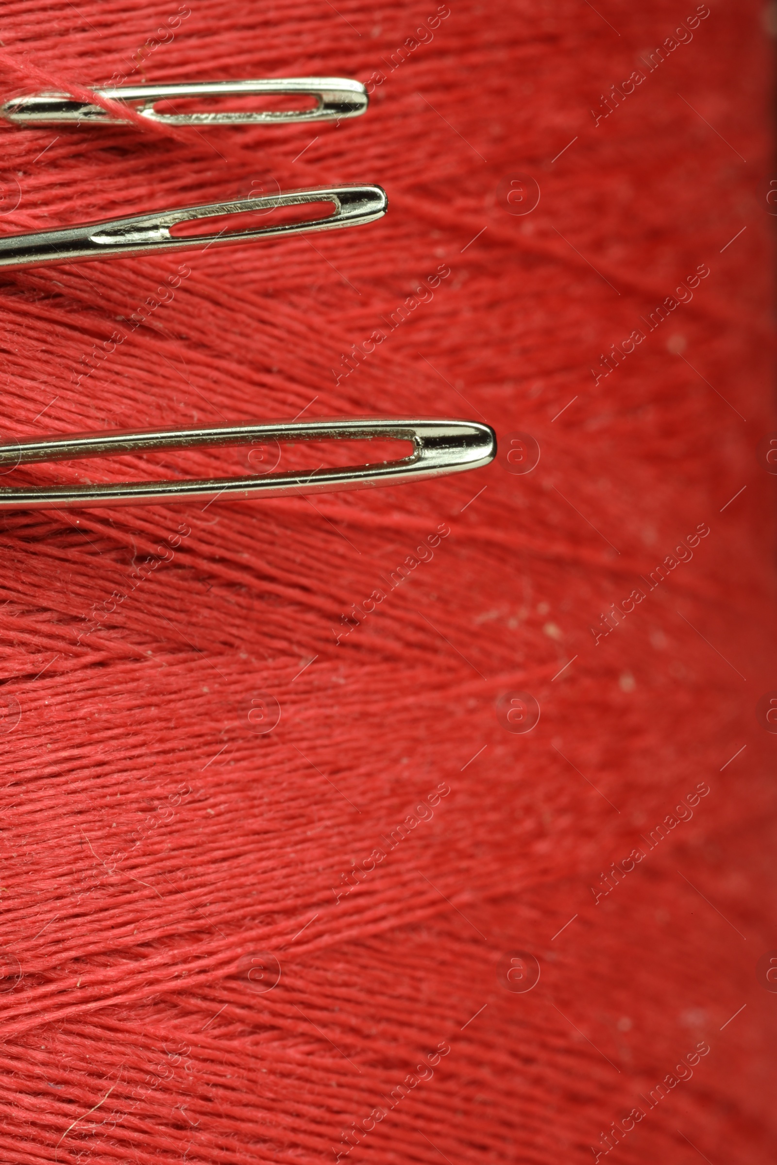 Photo of Spool of red sewing thread with needles, macro view