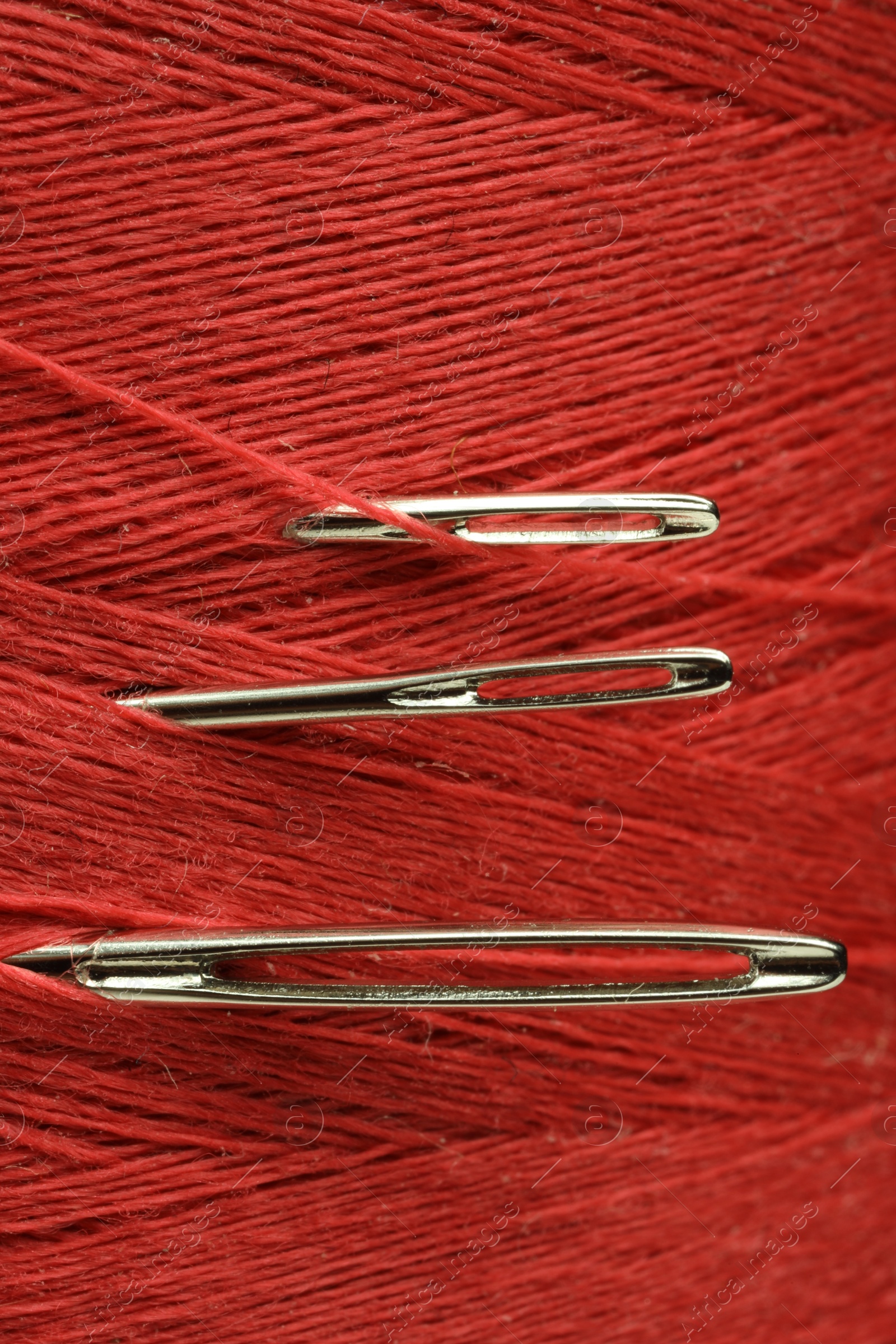 Photo of Spool of red sewing thread with needles, macro view