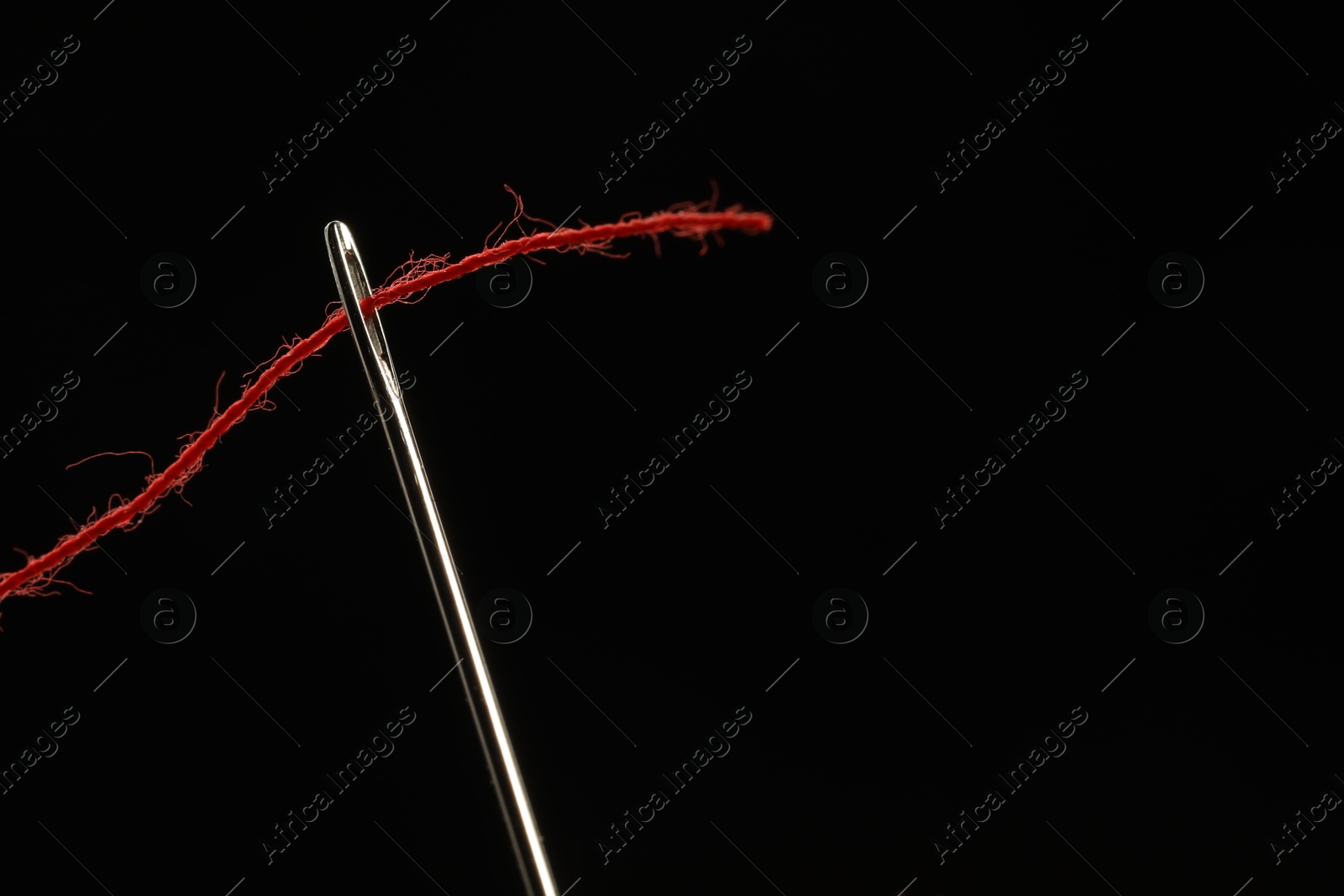 Photo of Sewing needle with red thread on black background, closeup. Space for text