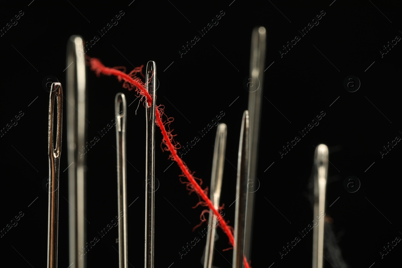 Photo of Sewing needle with red thread among ones on black background, closeup