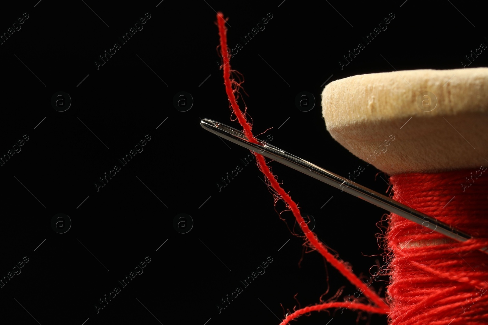 Photo of Spool of red sewing thread with needle on black background, closeup. Space for text