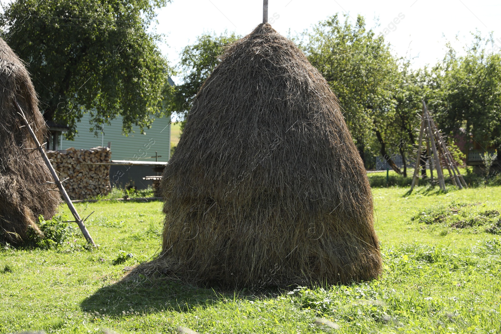 Photo of Pile of hay on farmland on sunny day