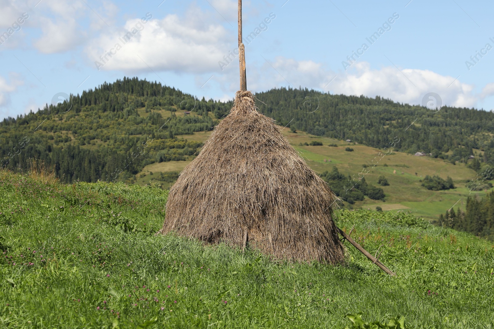 Photo of Pile of hay on field on sunny day