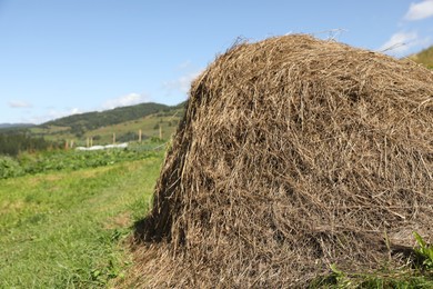 Photo of Pile of hay on field on sunny day. Space for text