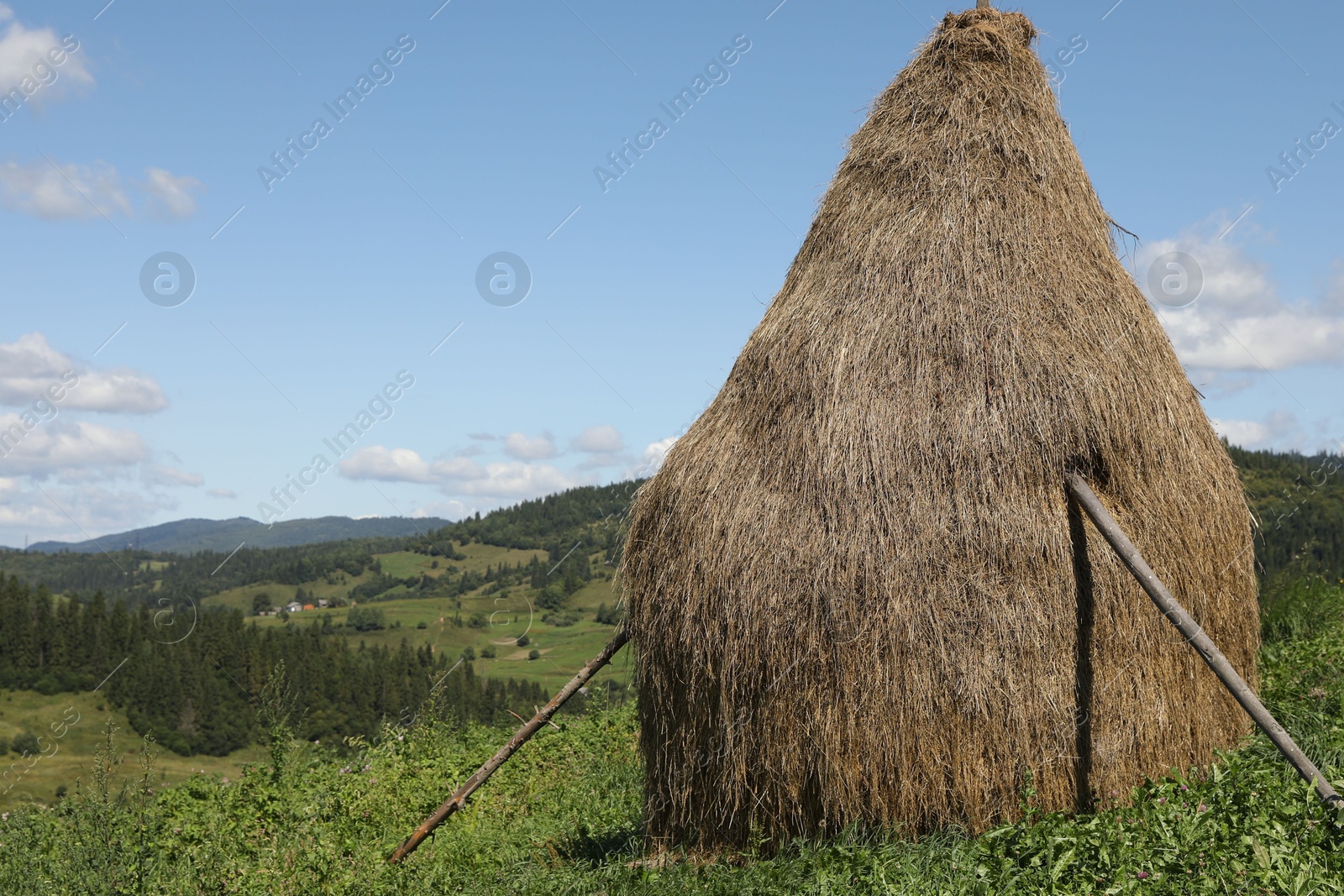 Photo of Pile of hay on field on sunny day. Space for text