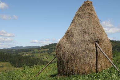 Photo of Pile of hay on field on sunny day. Space for text