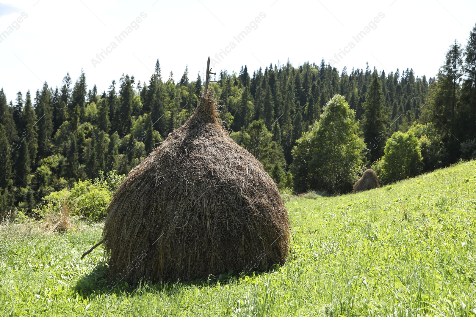 Photo of Pile of hay on green grass on sunny day