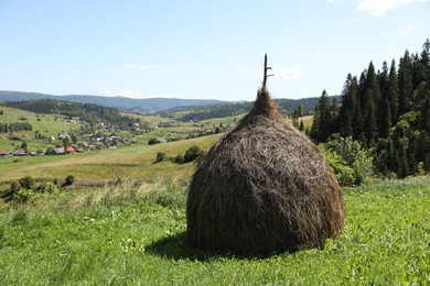 Photo of Pile of hay on green grass on sunny day