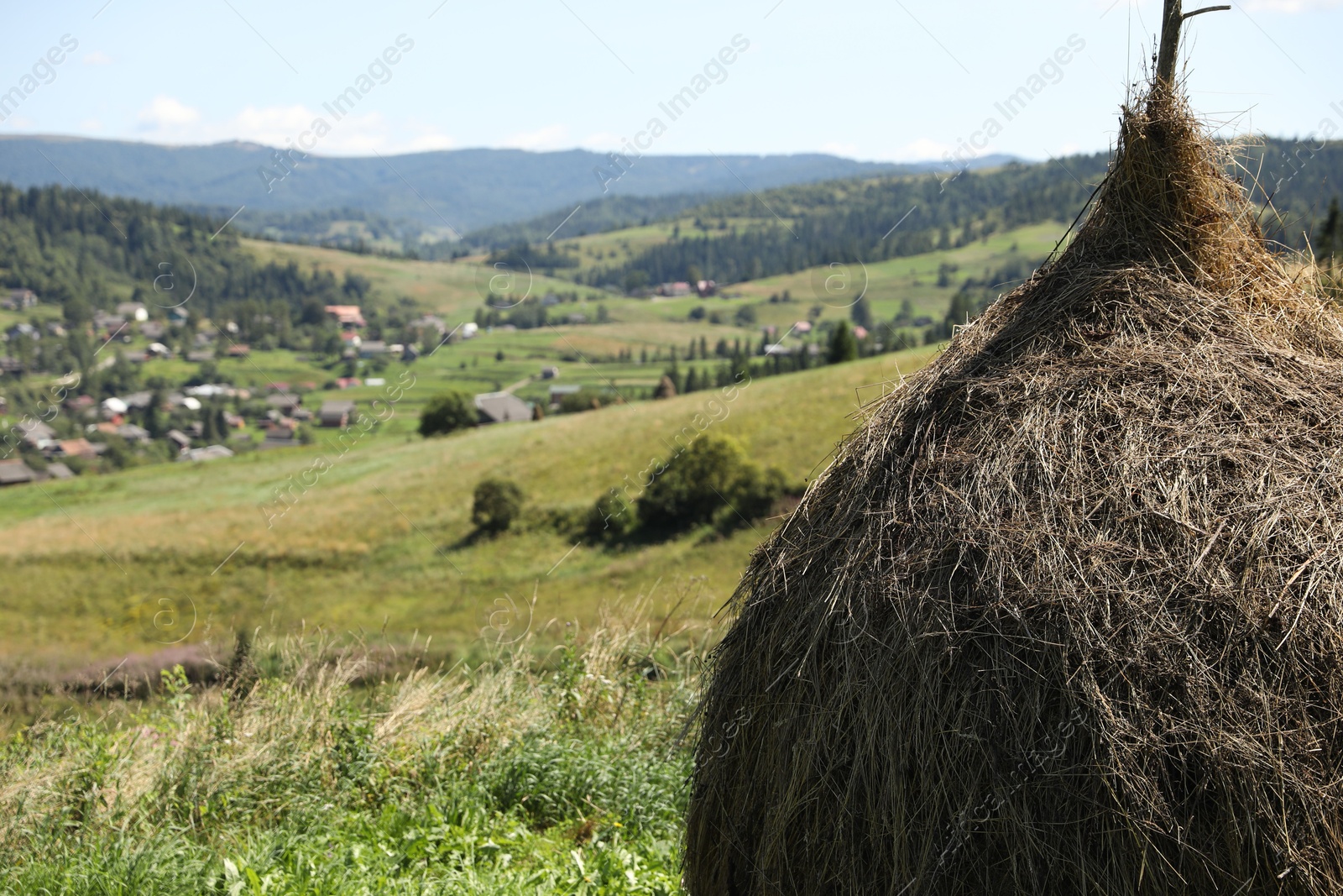 Photo of Pile of hay on field on sunny day. Space for text