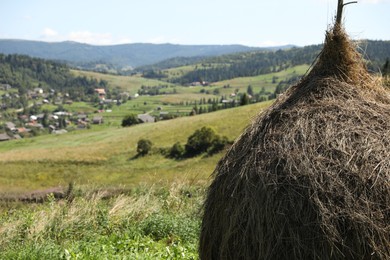 Pile of hay on field on sunny day. Space for text