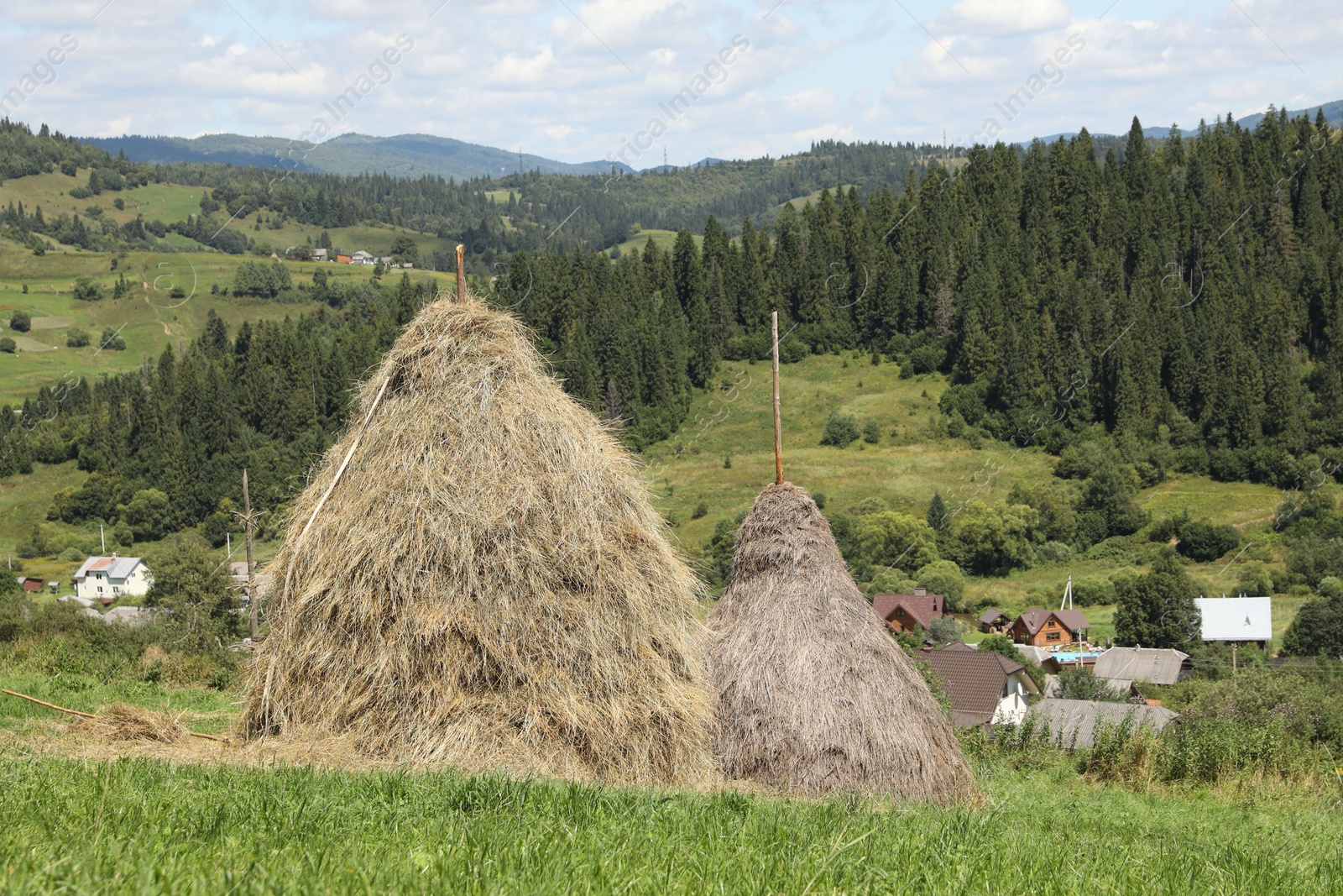 Photo of Piles of hay on green grass on sunny day