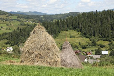 Photo of Piles of hay on green grass on sunny day