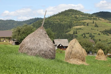 Photo of Piles of hay on green grass on sunny day