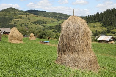 Photo of Piles of hay on green grass on sunny day