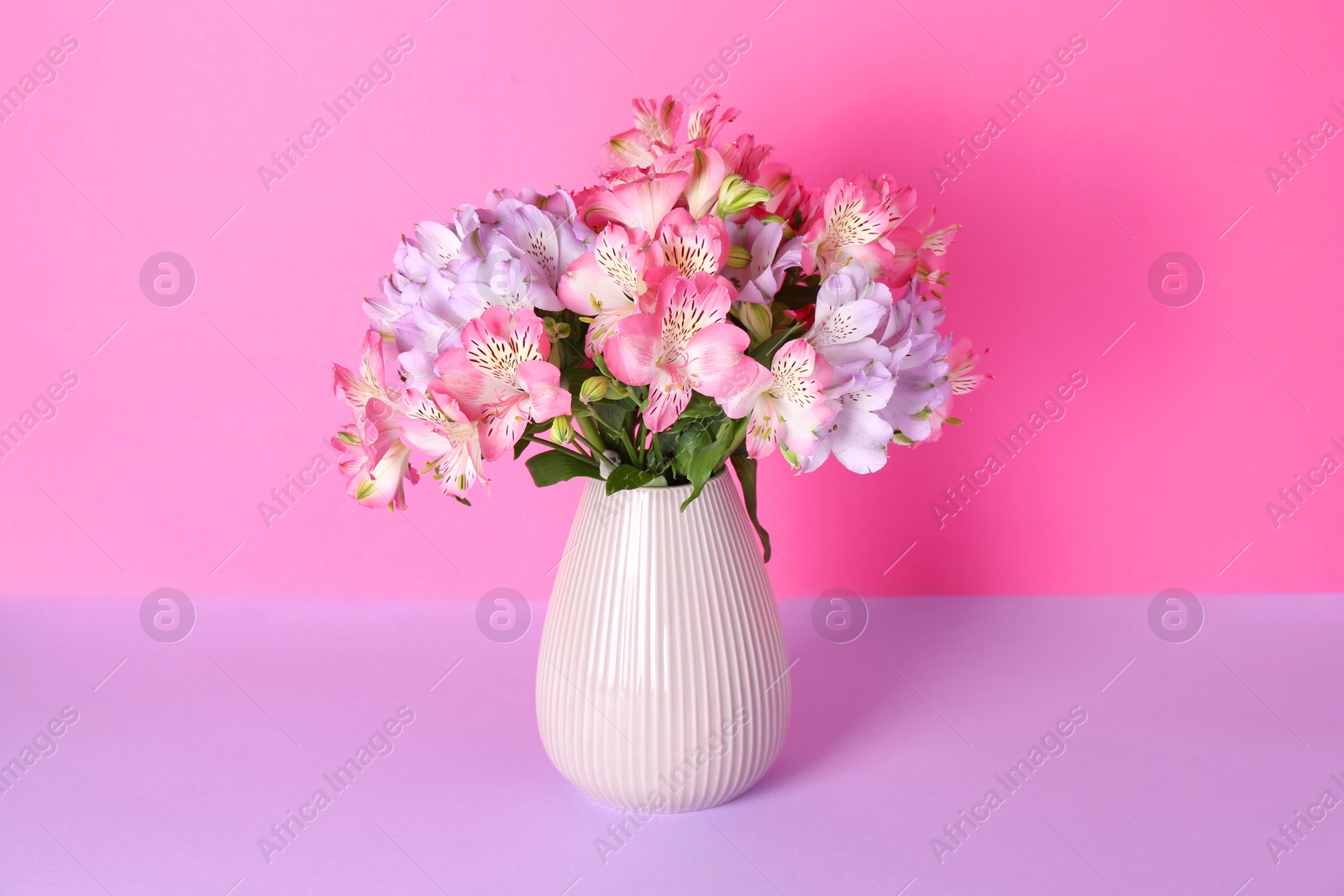 Photo of Beautiful alstroemeria flowers in vase on color background