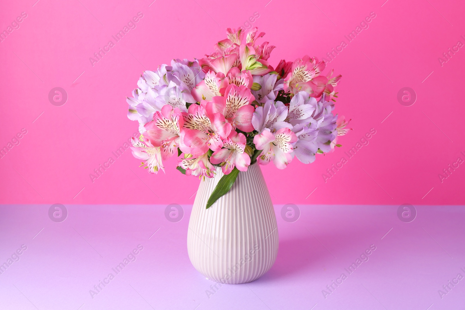 Photo of Beautiful alstroemeria flowers in vase on color background