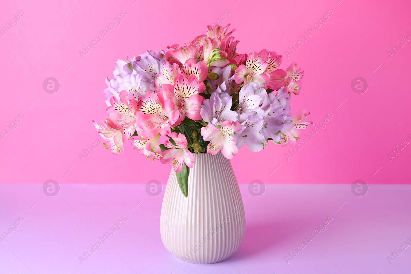 Photo of Beautiful alstroemeria flowers in vase on color background