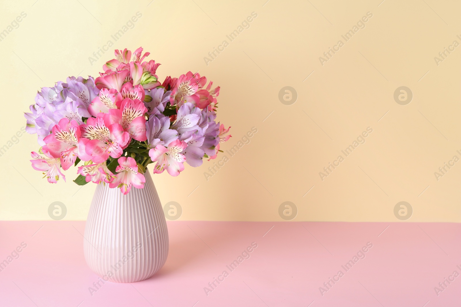 Photo of Beautiful alstroemeria flowers in vase on color background, space for text