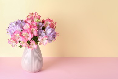 Photo of Beautiful alstroemeria flowers in vase on color background, space for text