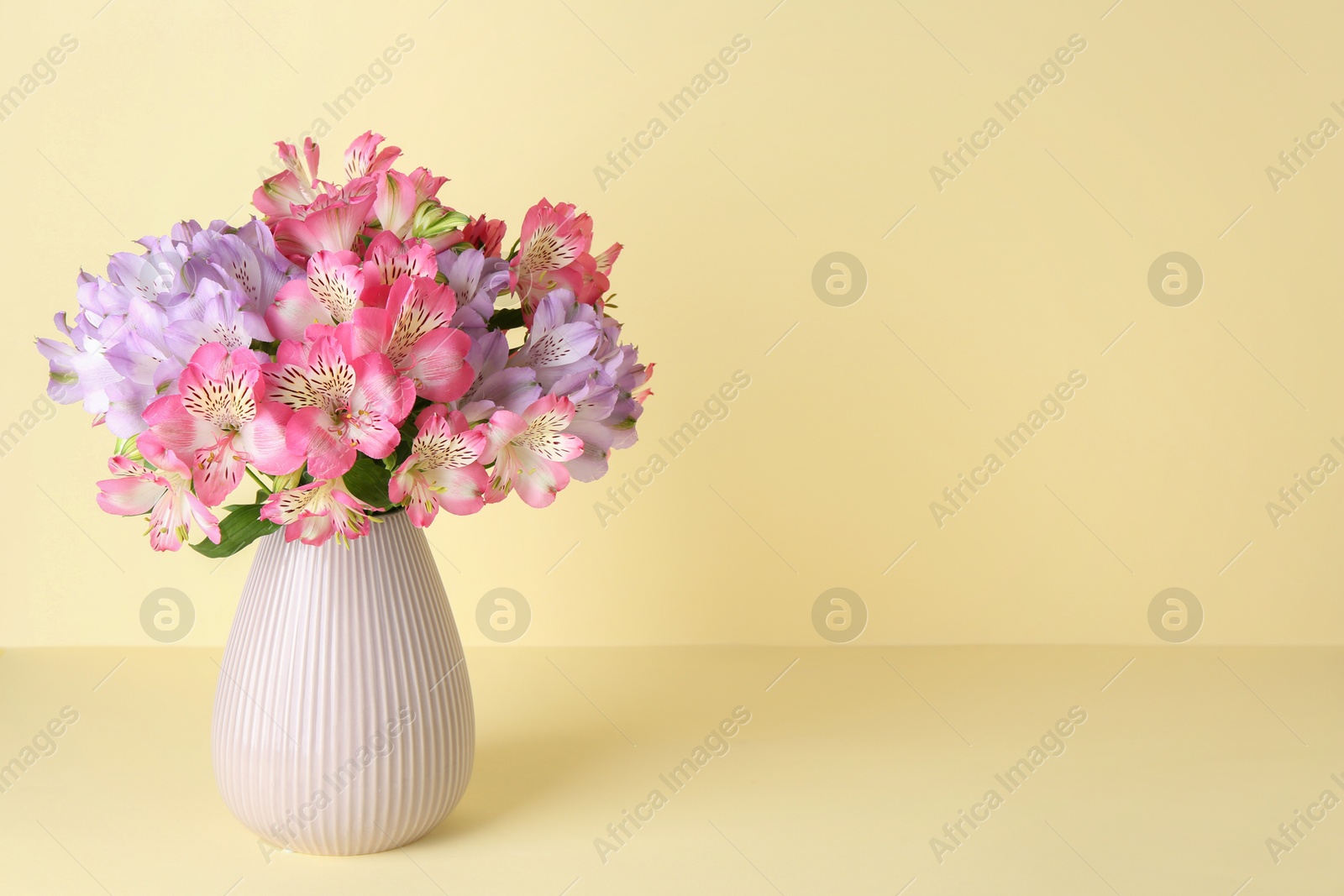 Photo of Beautiful alstroemeria flowers in vase on beige background, space for text