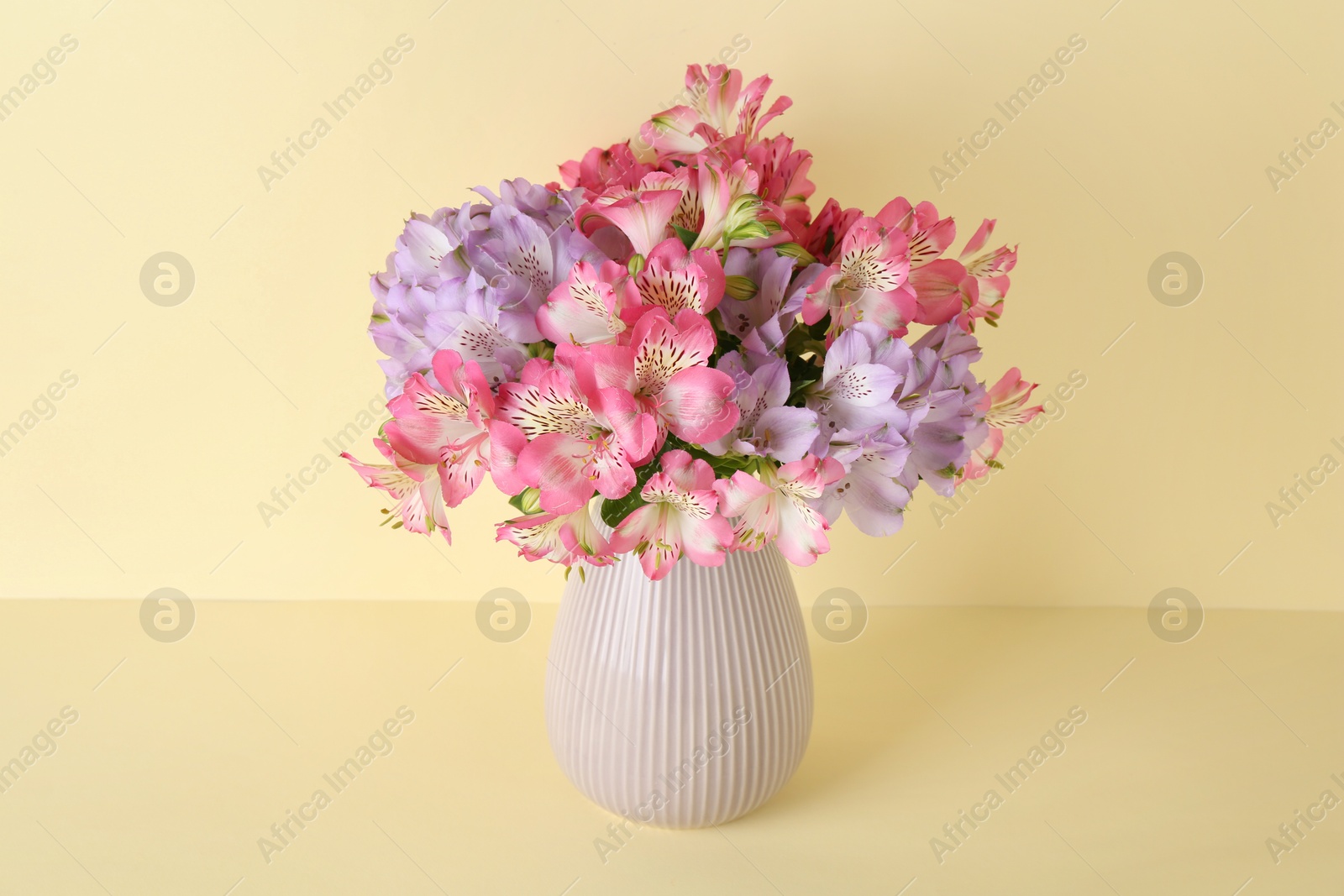 Photo of Beautiful alstroemeria flowers in vase on beige background