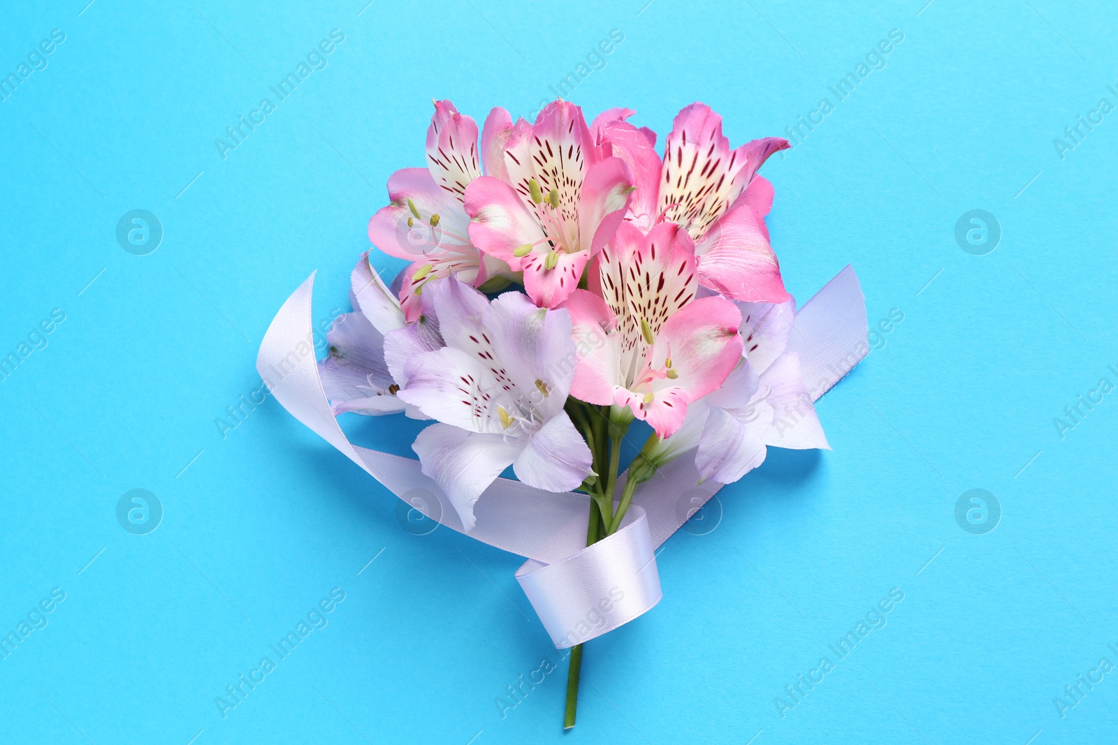 Photo of Beautiful alstroemeria flowers and ribbon on light blue background, top view