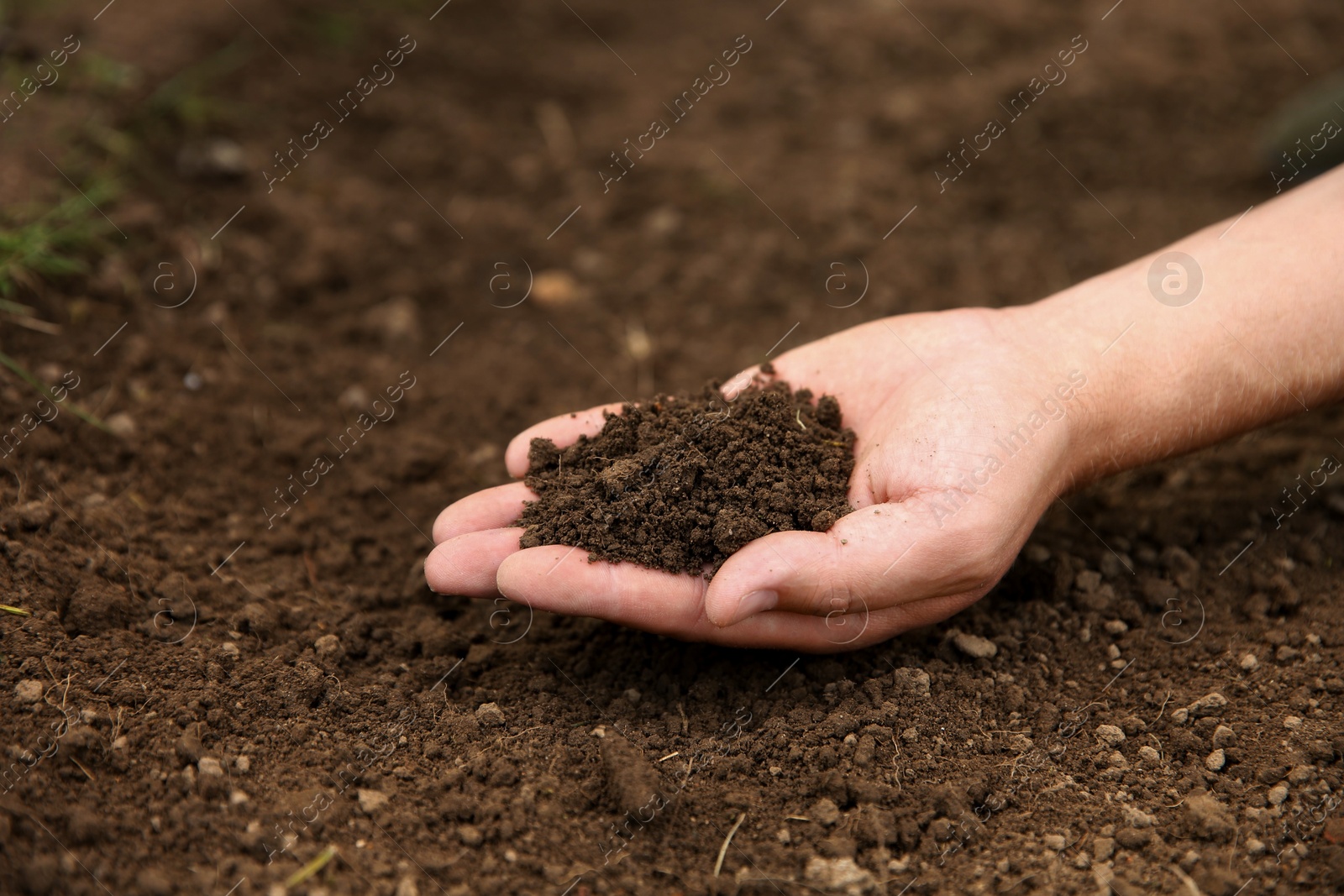 Photo of Woman holding pile of soil outdoors, closeup