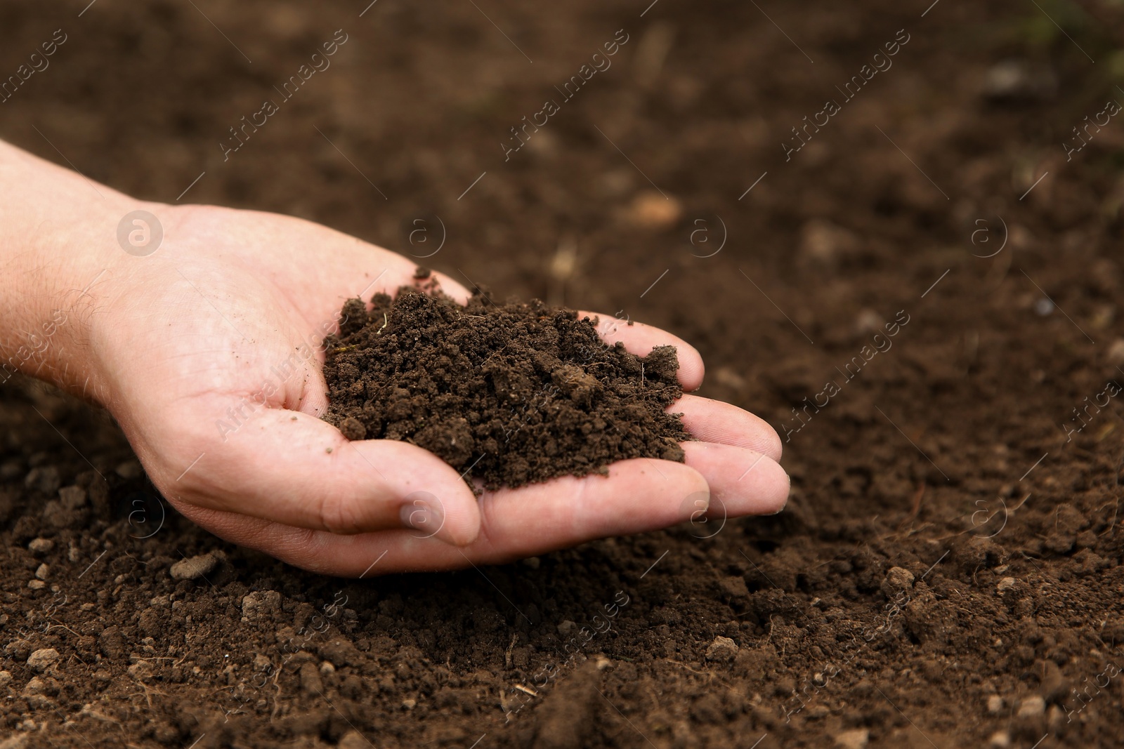 Photo of Woman holding pile of soil outdoors, closeup