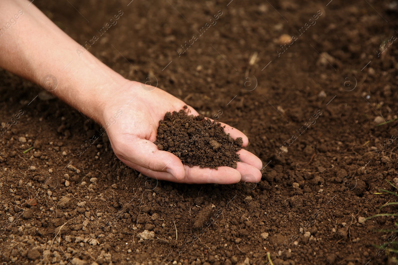 Photo of Woman holding pile of soil outdoors, closeup. Space for text