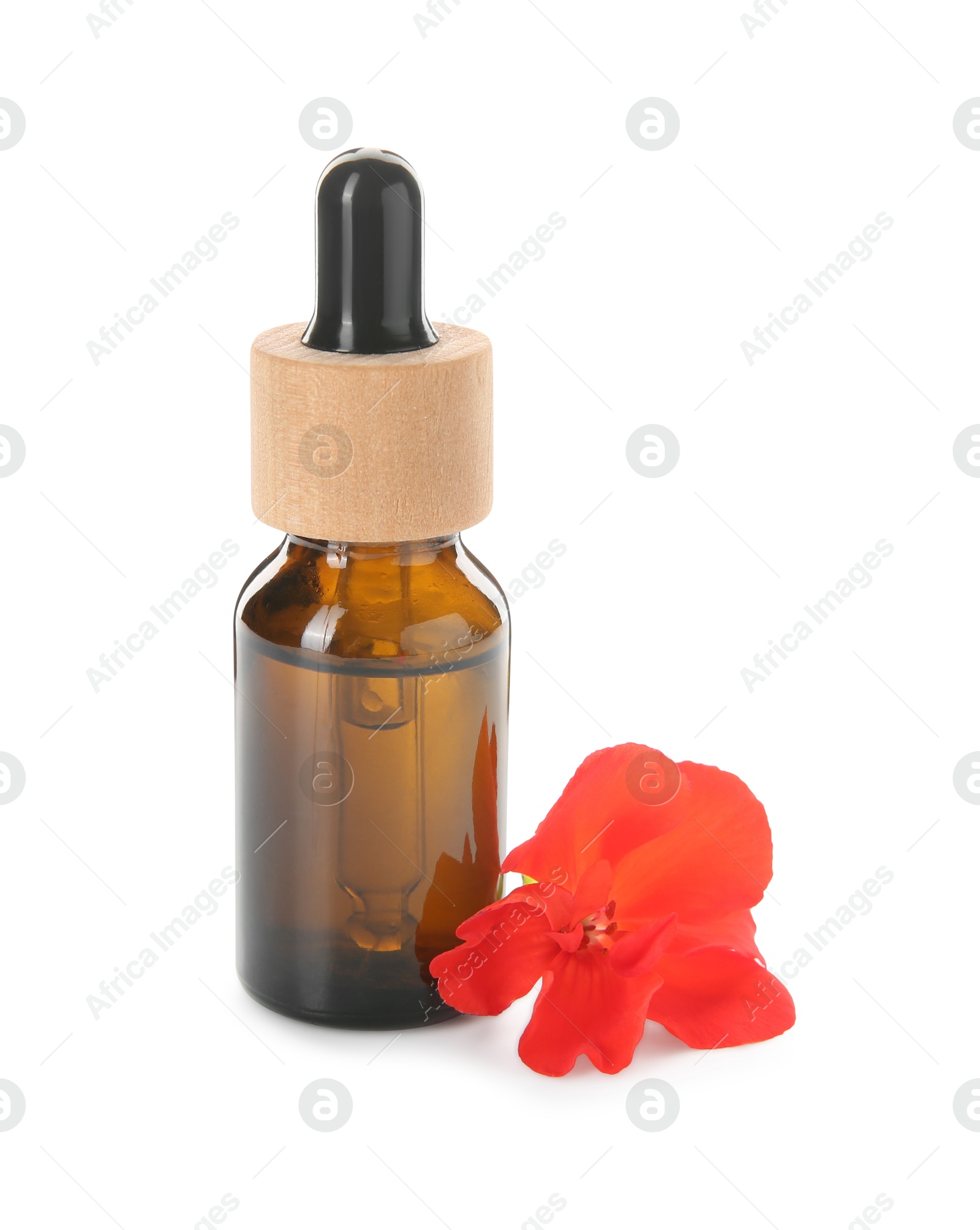 Photo of Bottle of geranium essential oil and beautiful flower isolated on white